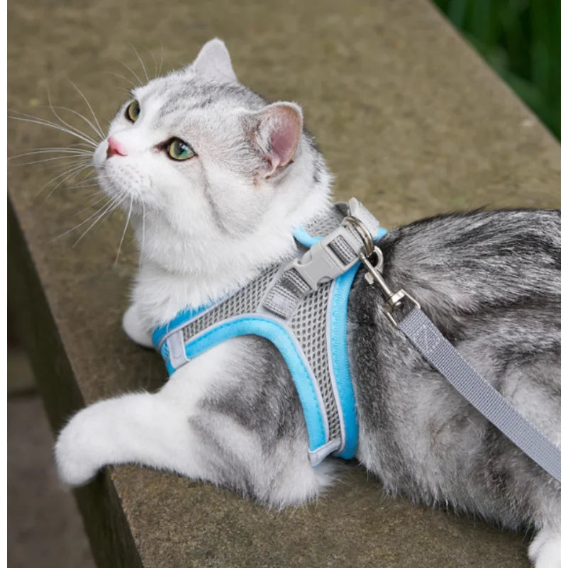 Puppy Cat Vest Harness With Leash Breathable - MyPetDollar.com