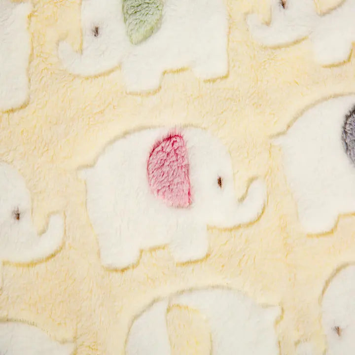 Pet Blanket Encrypted Fleece-lined - MyPetDollar.com
