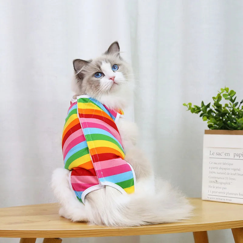 Cat Weaning Sterilization Suit Small Dog - MyPetDollar.com