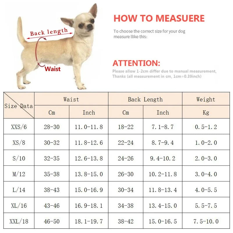 Cat Dog Female Panties Denim Strap Pet - MyPetDollar.com