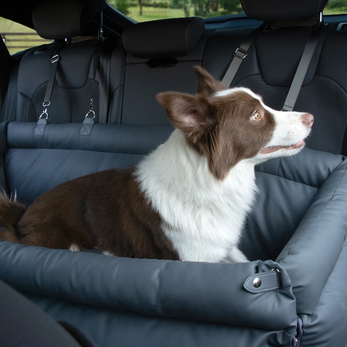 Luxury Dog Car Seat Booster Bed Polyester - MyPetDollar.com