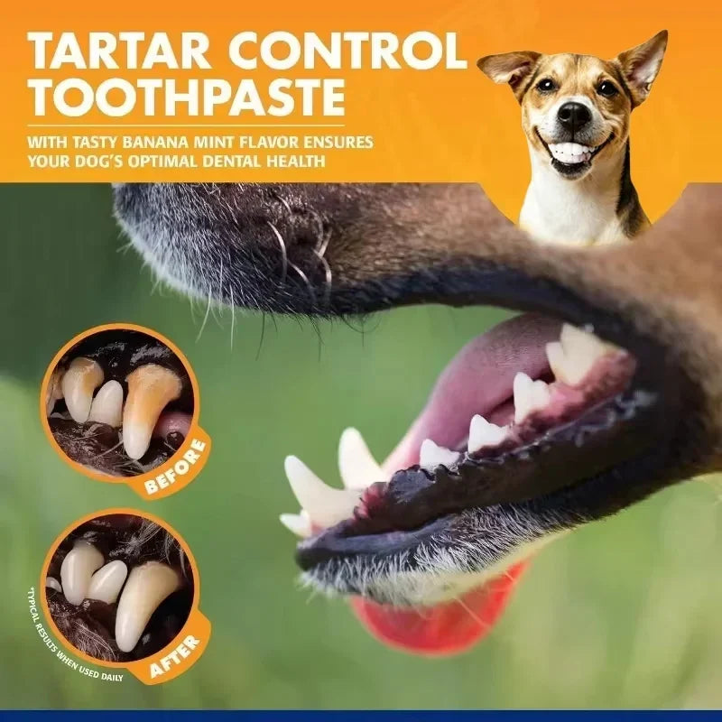 Universal Toothpaste Toothbrush Set Dog Gum - MyPetDollar.com