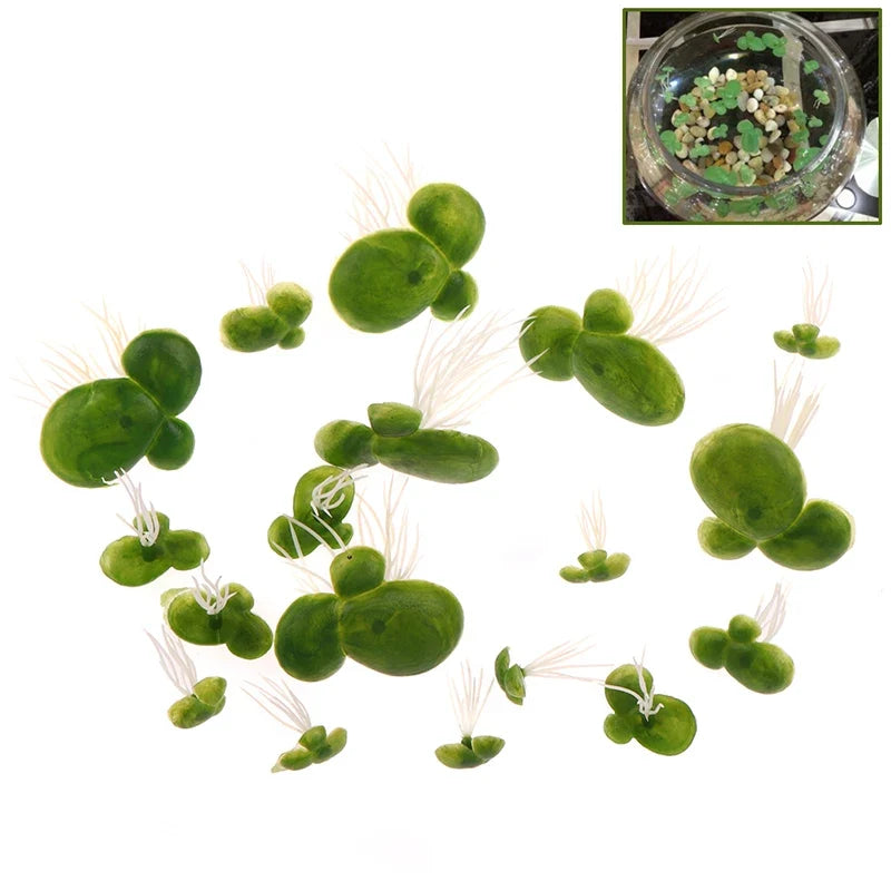 Aquarium Fish Tank Garden Water Decor Set