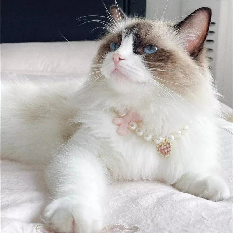 Pet Bow Pearl Collar Cat Jewelry Heart - MyPetDollar.com