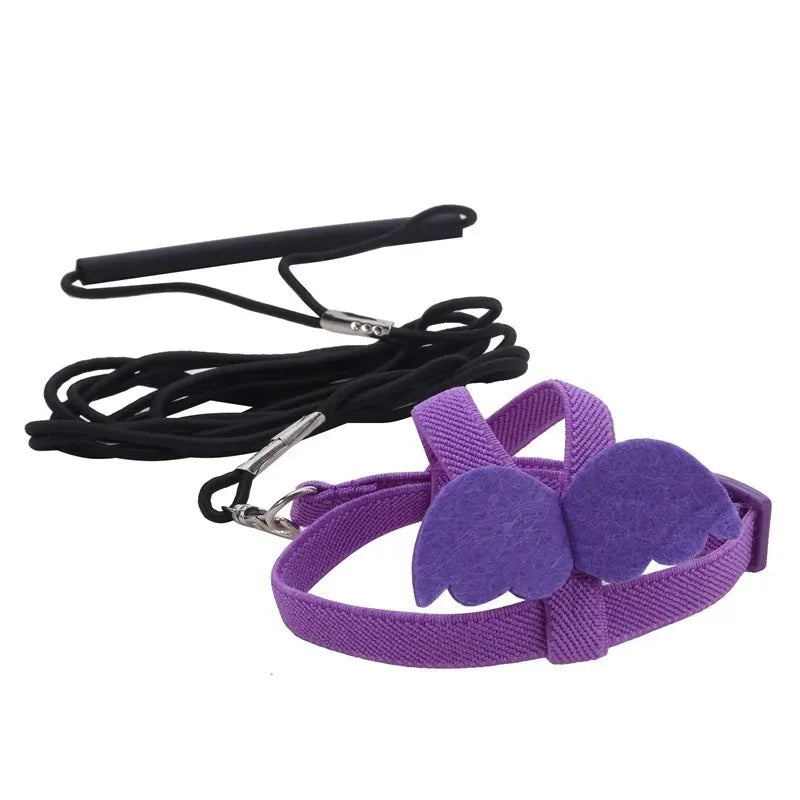 Birds Supplies Parrot Harness Leash Set