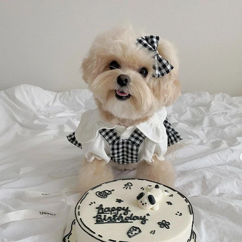 Dog Clothes Summer Luxury Pet Plaid Striped - MyPetDollar.com