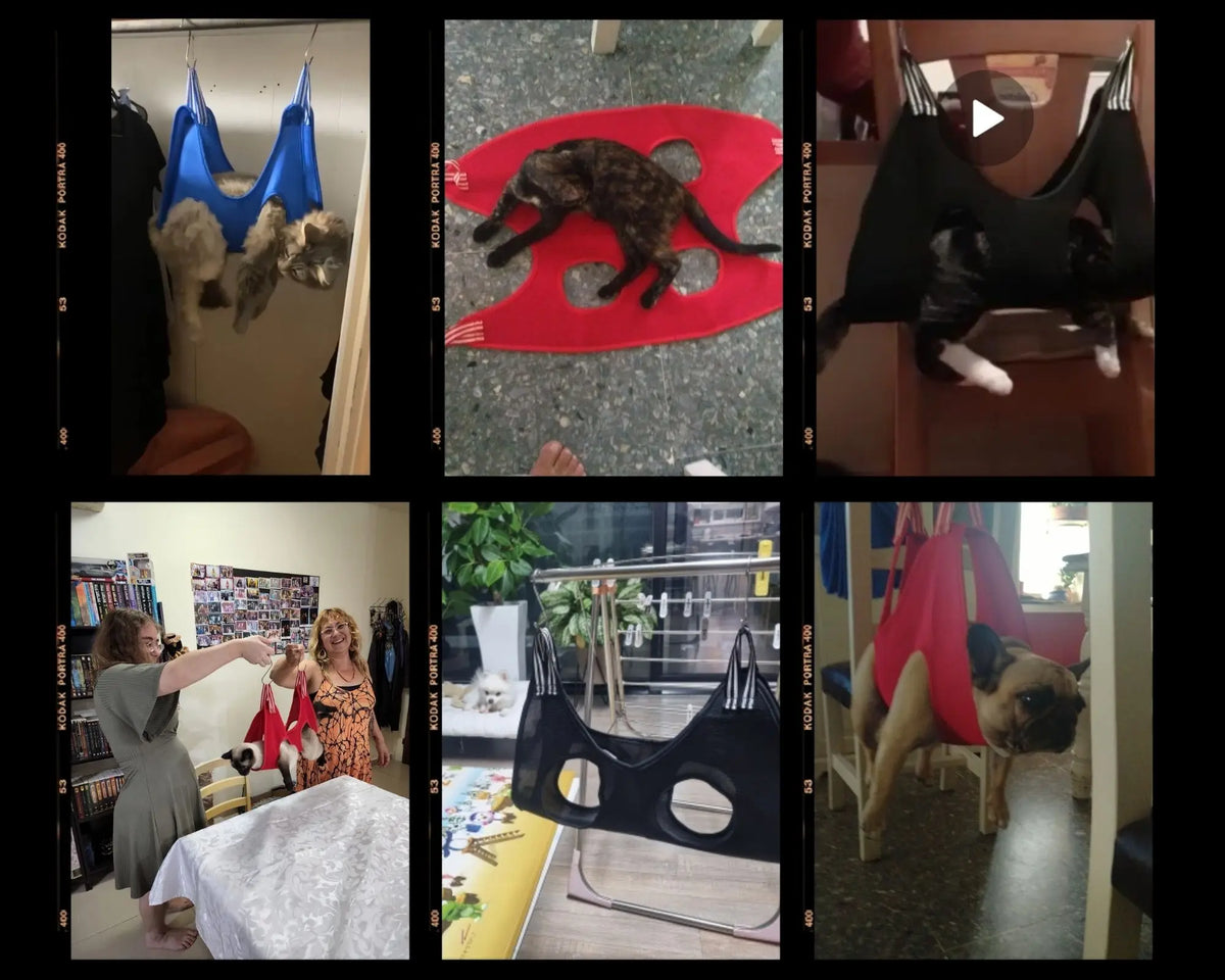 Cat Grooming Hammock Helper XS-L Pet Hammock - MyPetDollar.com