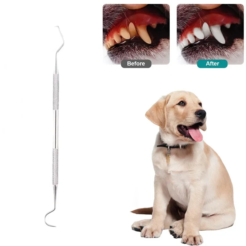 Stainless Steel Pet Tooth Cleaning Tool Safe - MyPetDollar.com