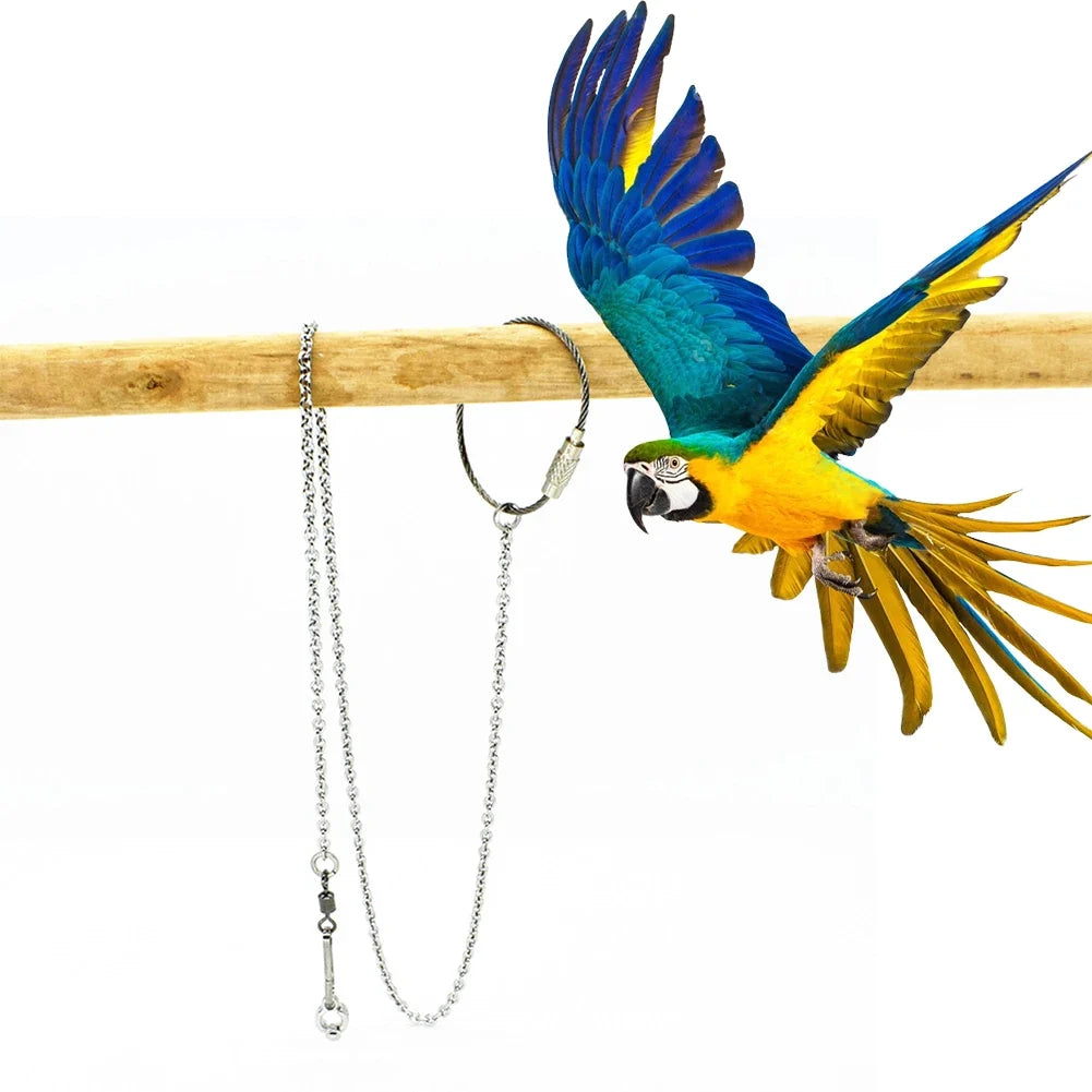 1Pcs Pet Parrot Leg Ring Ankle Foot Chain - MyPetDollar.com
