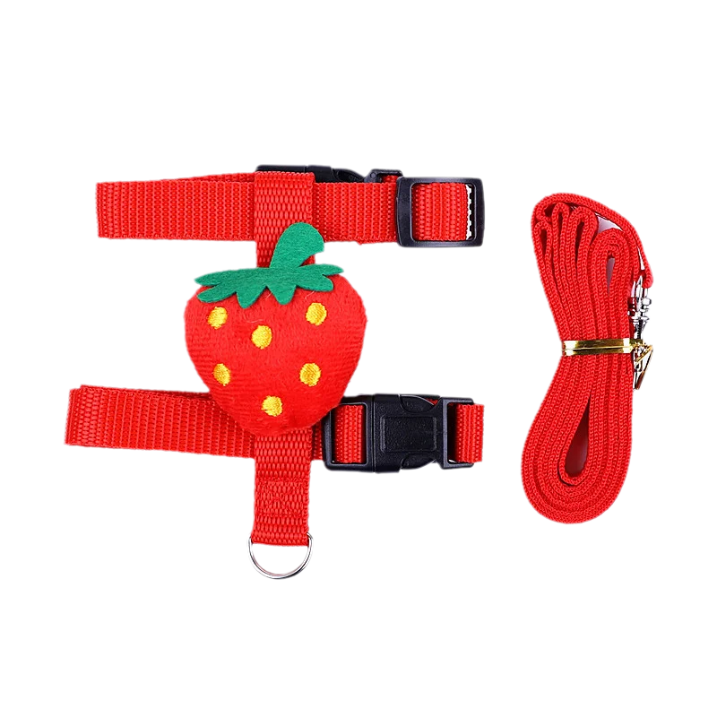 Small Animals Outdoor Wakling Supplies - MyPetDollar.com