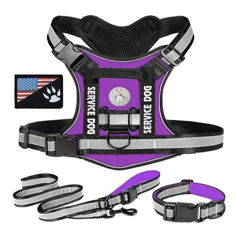 Doberman Dog Harness Collar Leash Set - MyPetDollar.com