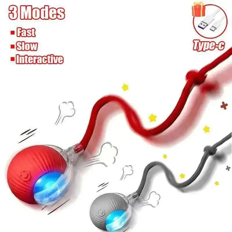 Smart Dog Interactive Ball Toys Automatic - MyPetDollar.com