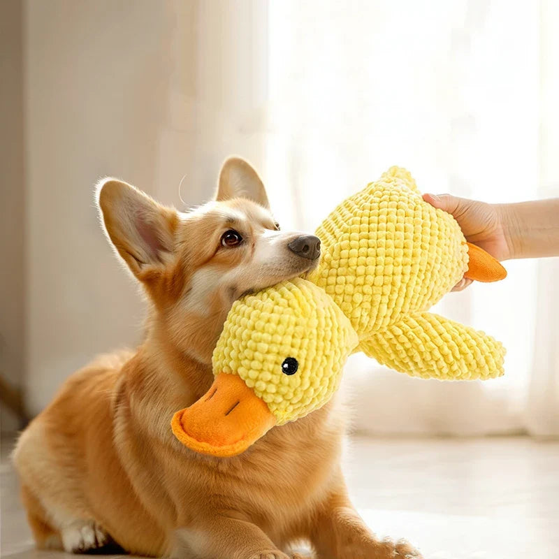 Yellow Duck Dog Plush Toy Molar Chew Toy - MyPetDollar.com