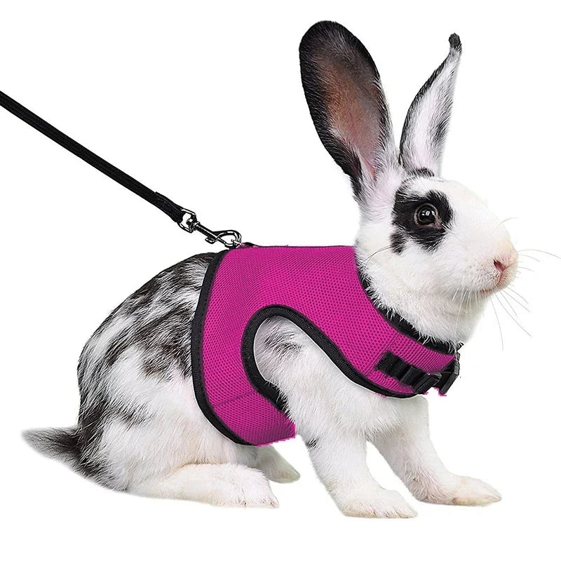 Harness with Leash Set for Rabbits - MyPetDollar.com
