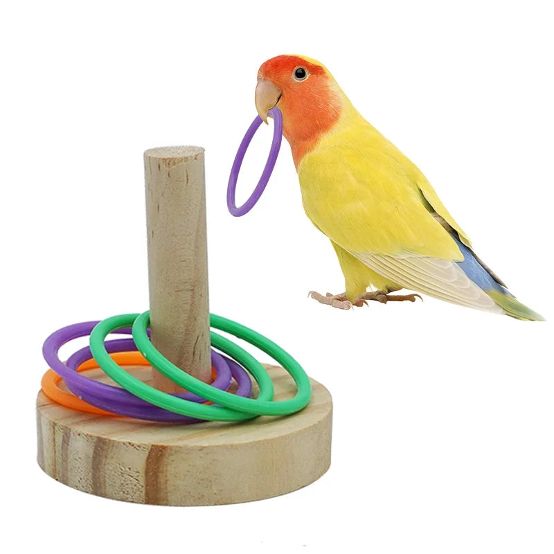 Parrot Bird Toy Bite Chewing Pet Swing – 3 Colors