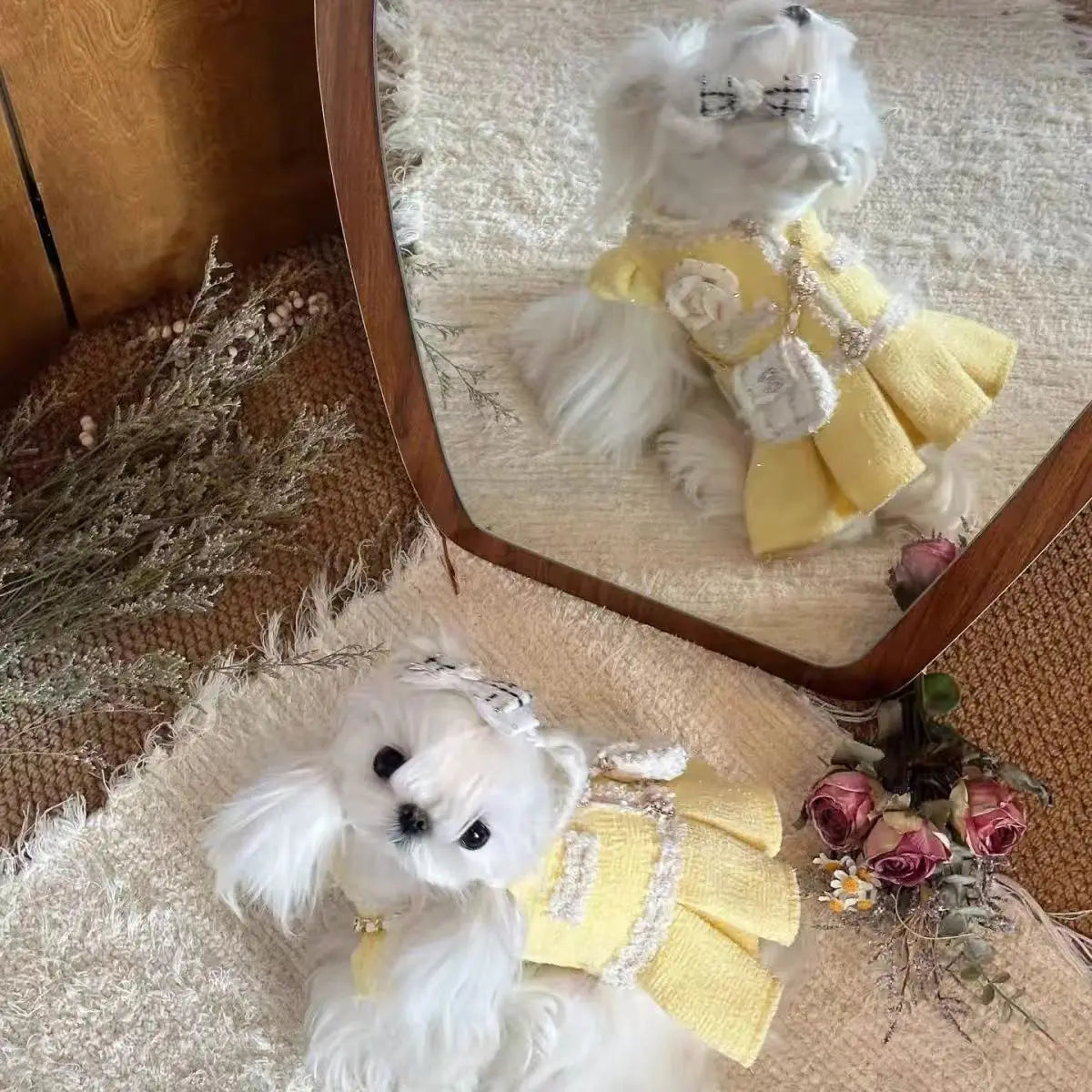 Autumn & Winter Pet Clothes Princess Style - MyPetDollar.com