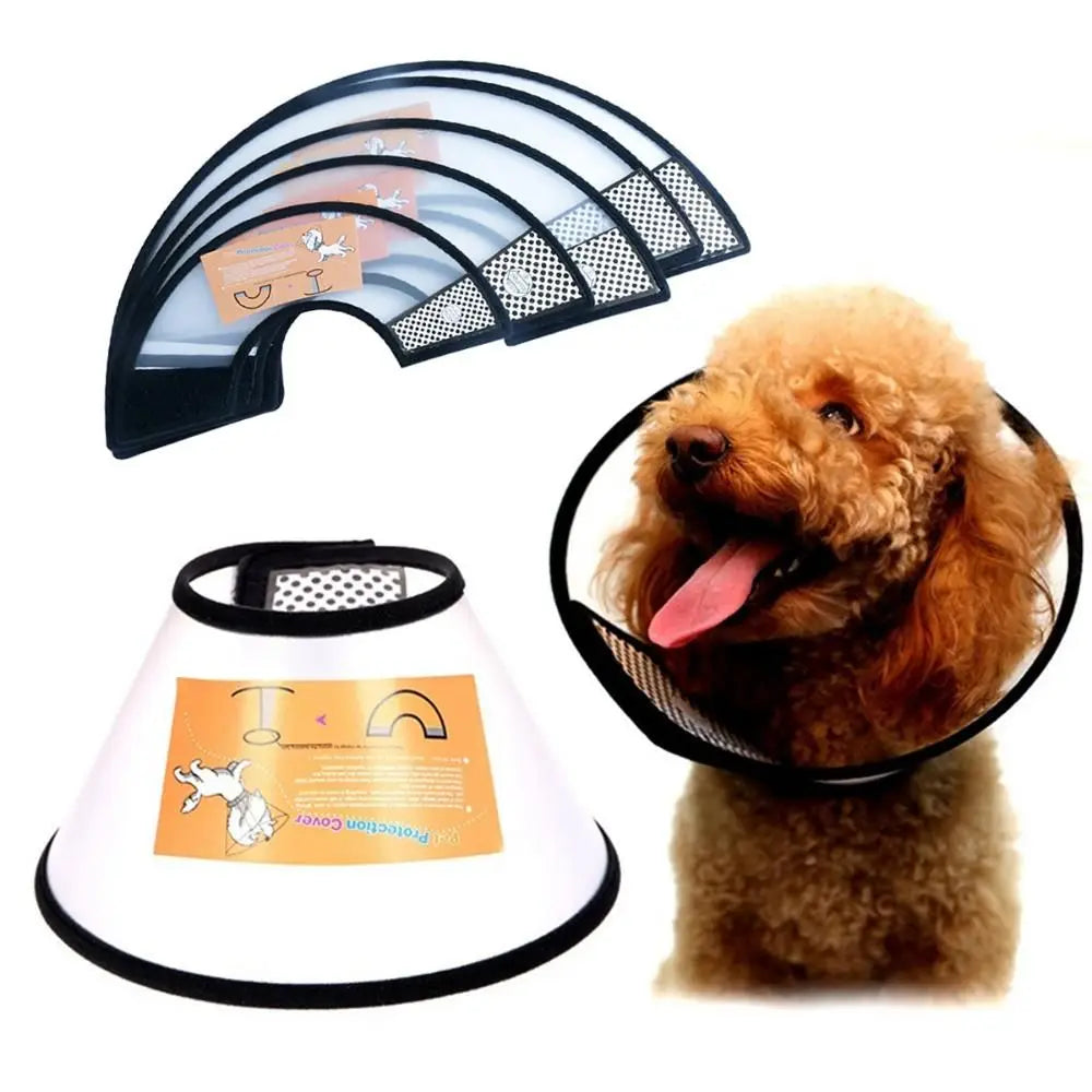 Medical Cats Dogs Health Surgery Wound - MyPetDollar.com