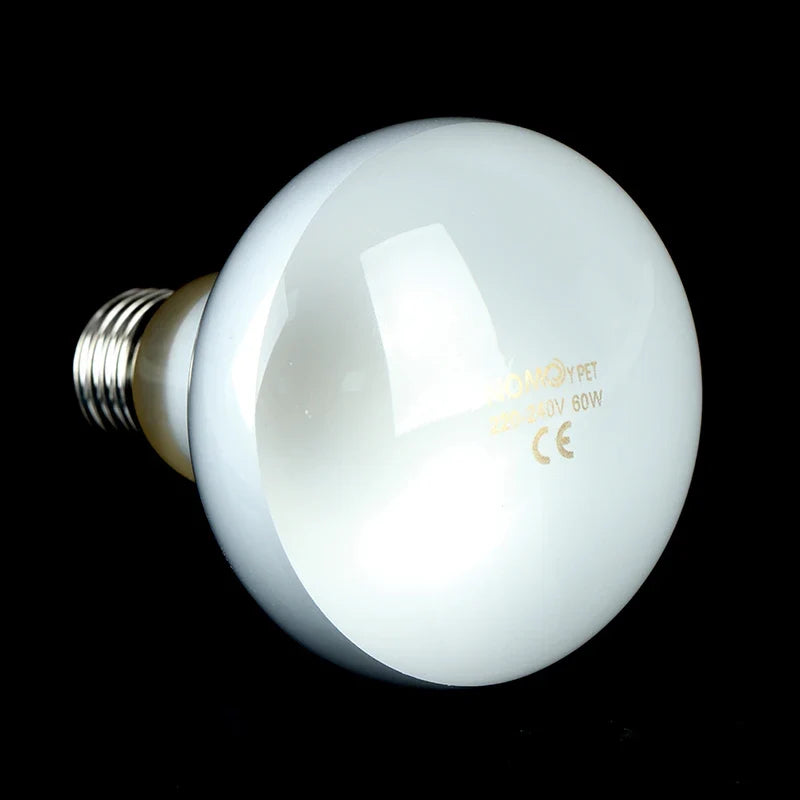 New 1PCS UVA+UVB Reptile Lamp Bulb Turtle - MyPetDollar.com