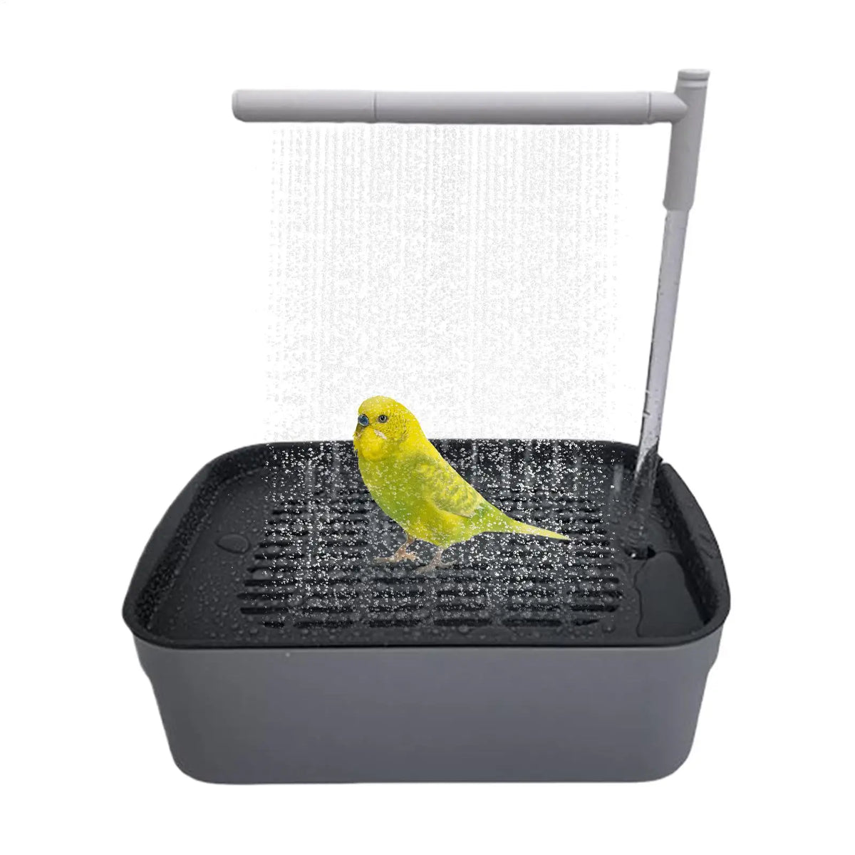 Bird Shower Automatic Bird Bath Parrot - MyPetDollar.com