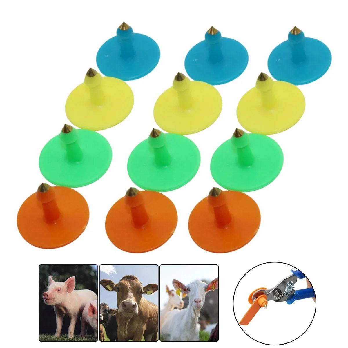 50Pcs Anti-Shedding Sheep Pig Cattle Ear Tag - MyPetDollar.com