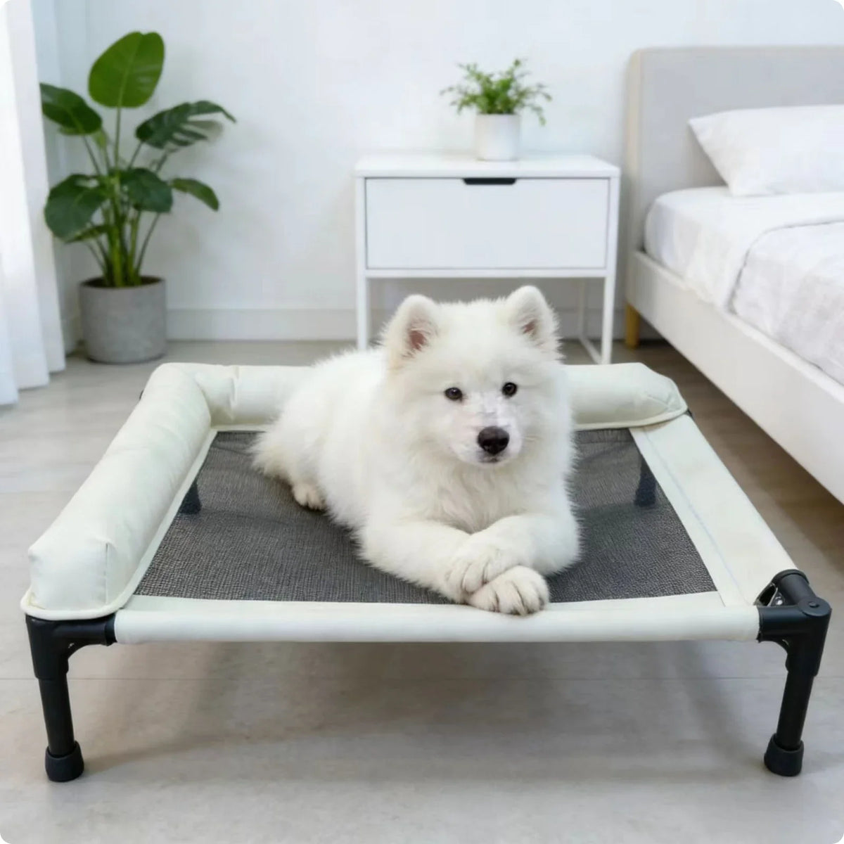 Raised Pet Bed