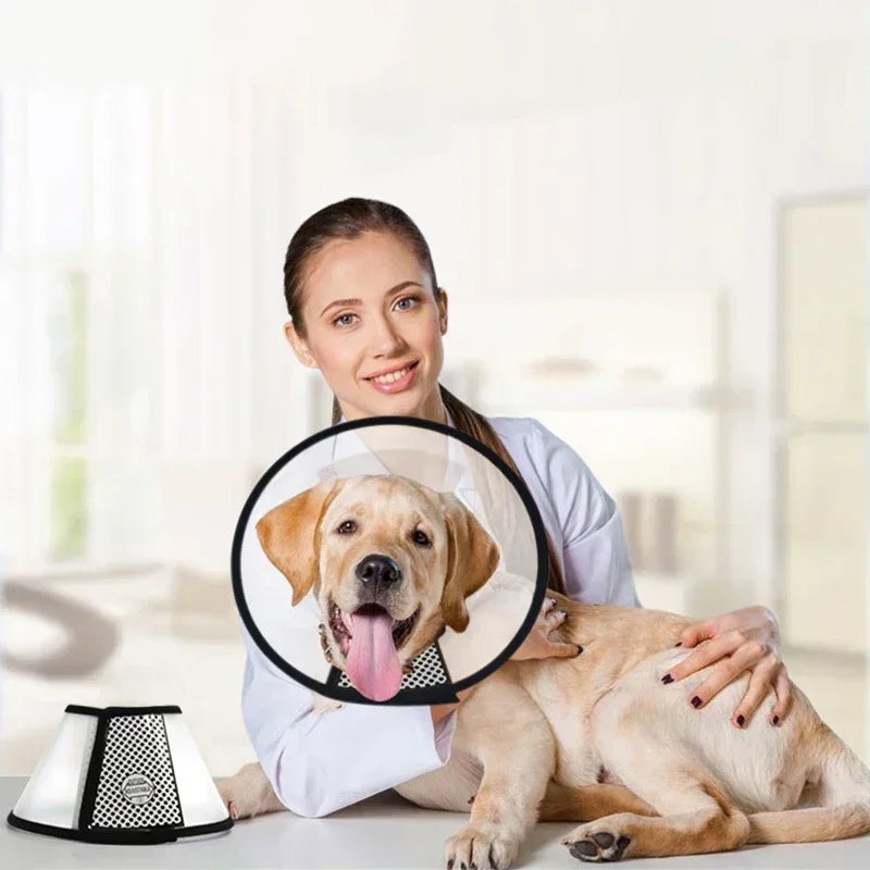 Pet Elizabeth Collar Puppy Anti Bite - MyPetDollar.com