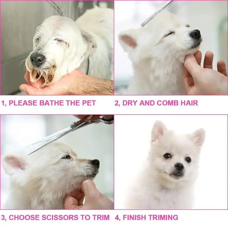 4pcs Premium Titanium Coated Dog Grooming - MyPetDollar.com