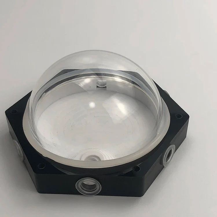 Moisturizing Idea Reptile Terrarium Ants - MyPetDollar.com