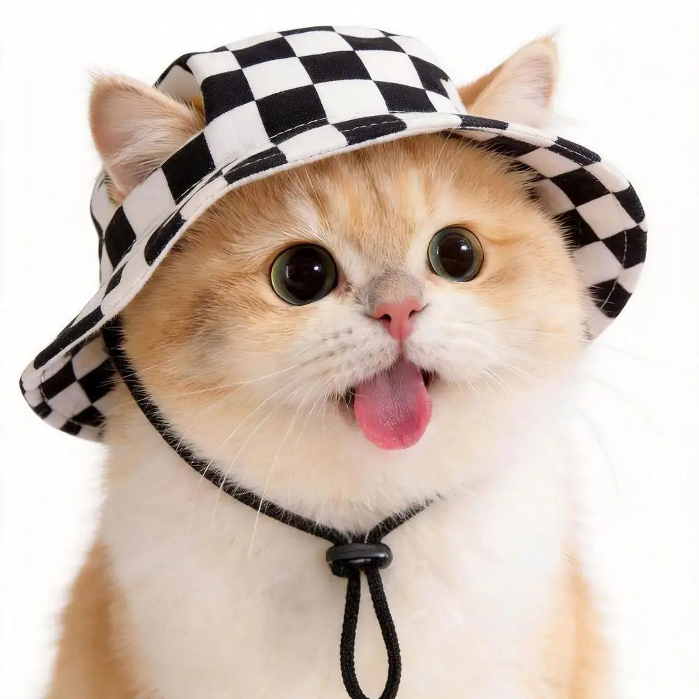 Cute Print Cat Hat for Small Medium Cats - MyPetDollar.com