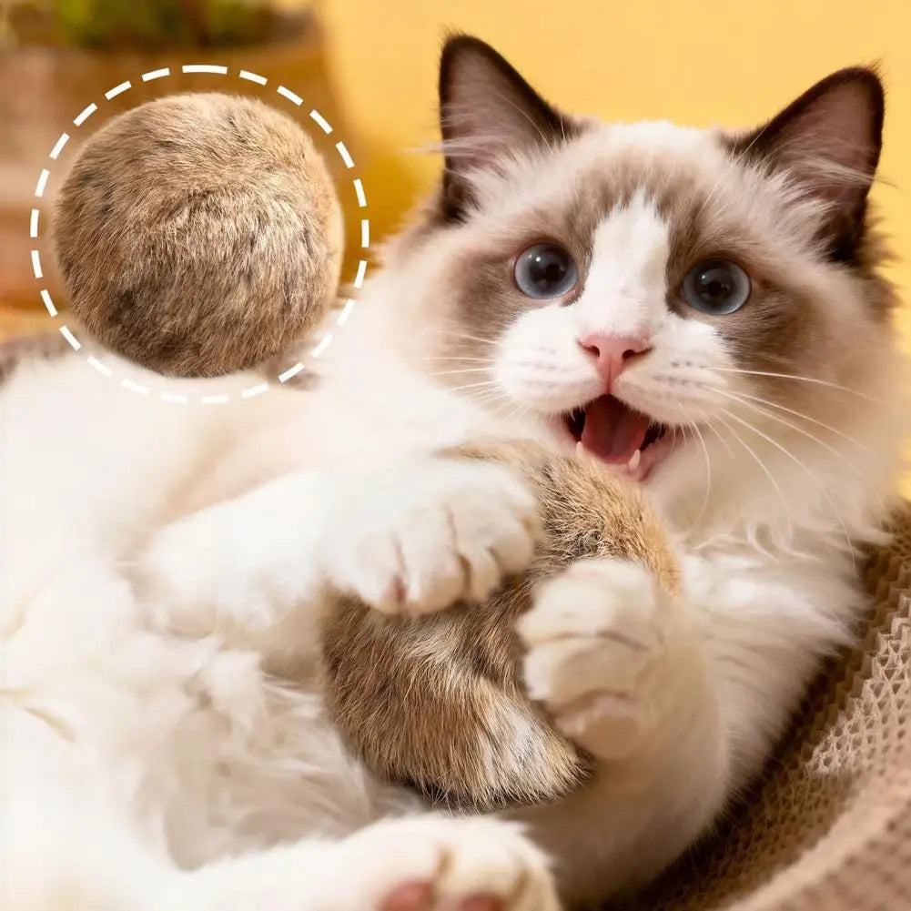 Cat Toy Ball Bunny Kick Cat Toy Furry Ball - MyPetDollar.com