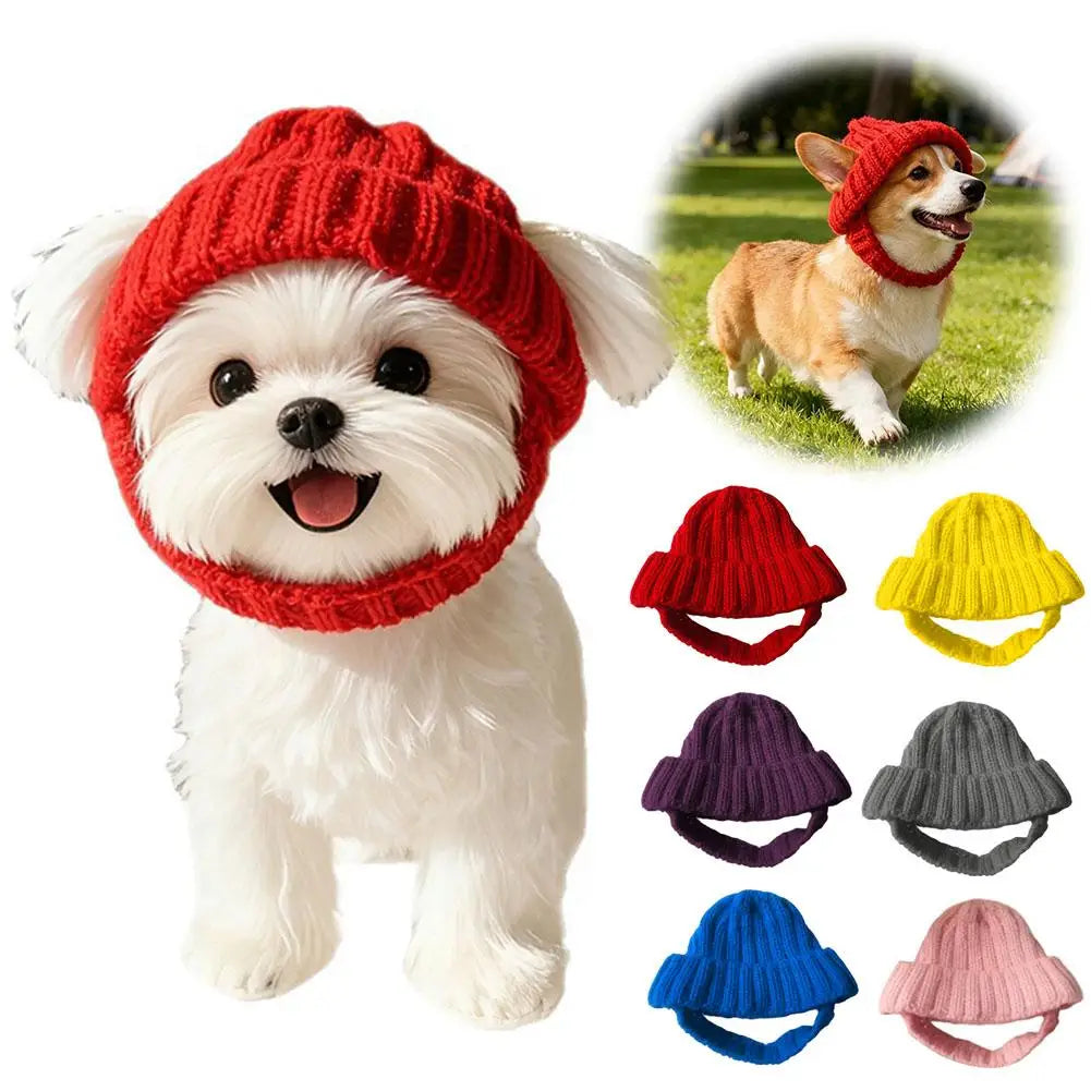 Pet Cat Hat Cute Cold Weather Windproof - MyPetDollar.com