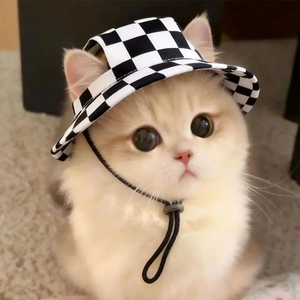 Summer Pet Cat Sun Hat Dog hat With Ear - MyPetDollar.com