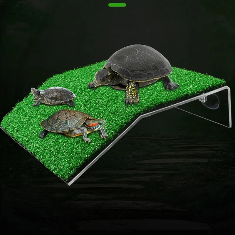 Turtle Basking Platform Suction Cup Habitat - MyPetDollar.com