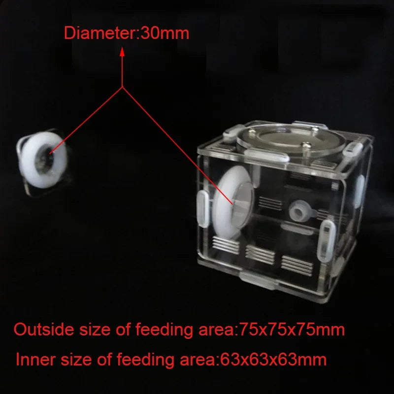 DIY Various Size Ant Farm Bamboo Tube Nest - MyPetDollar.com