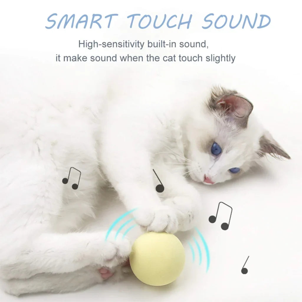 Interactive Ball Smart Cat Toys Catnip Cat - MyPetDollar.com