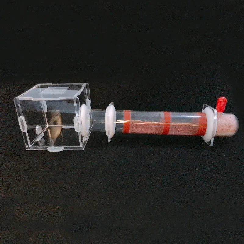 DIY Various Size Ant Farm Bamboo Tube Nest - MyPetDollar.com