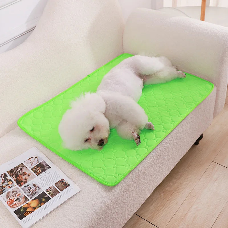 Reusable Pet Diaper Mat Dog Mat Washable Dog - MyPetDollar.com