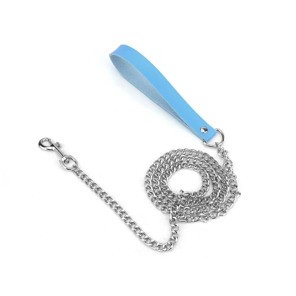Leather Dog Leash Metal Alloy Pet Dog Leash - MyPetDollar.com