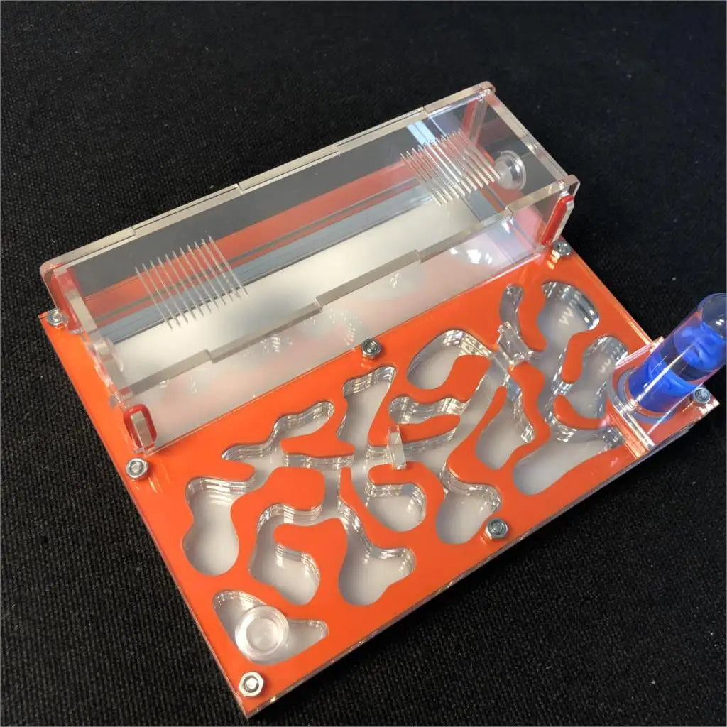 150mmx110mm test tube Moisture big space Ant - MyPetDollar.com