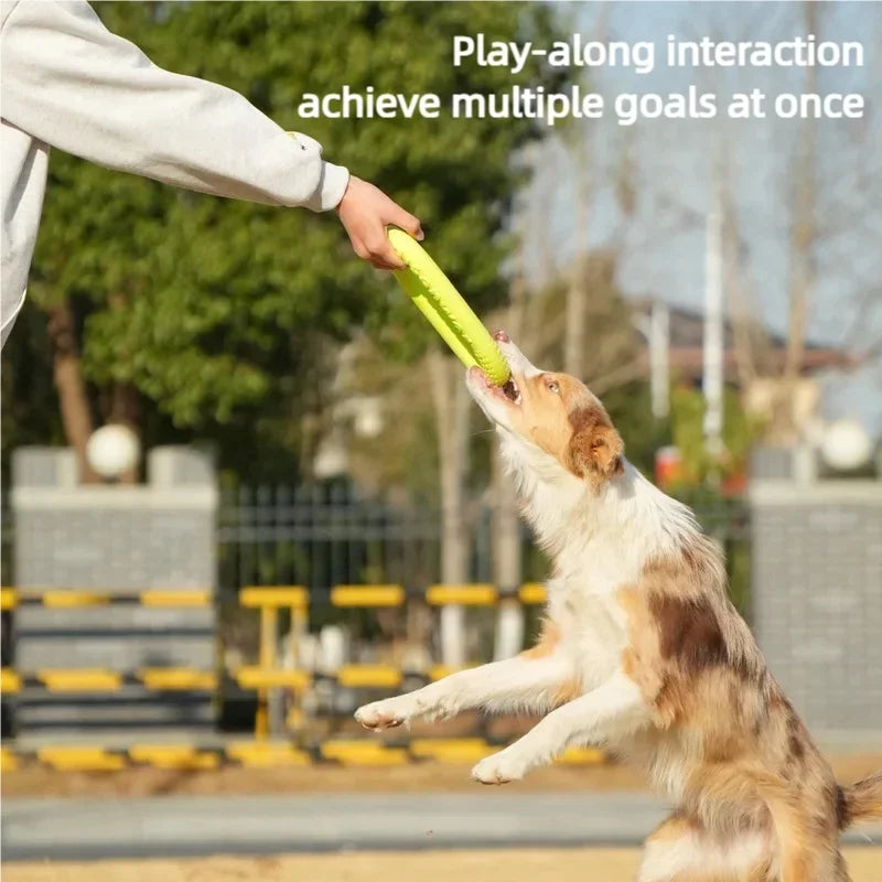 EVA Dog Flying Disc Waterproof Floating - MyPetDollar.com
