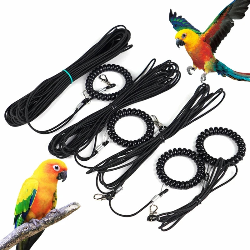 2M-10M Pet Bird Outdoor Training Harness - MyPetDollar.com