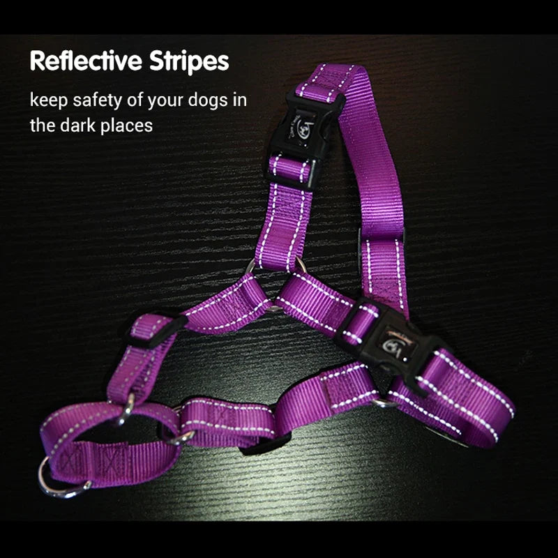 No Pull Dog Harness for Medium Large Dogs - MyPetDollar.com