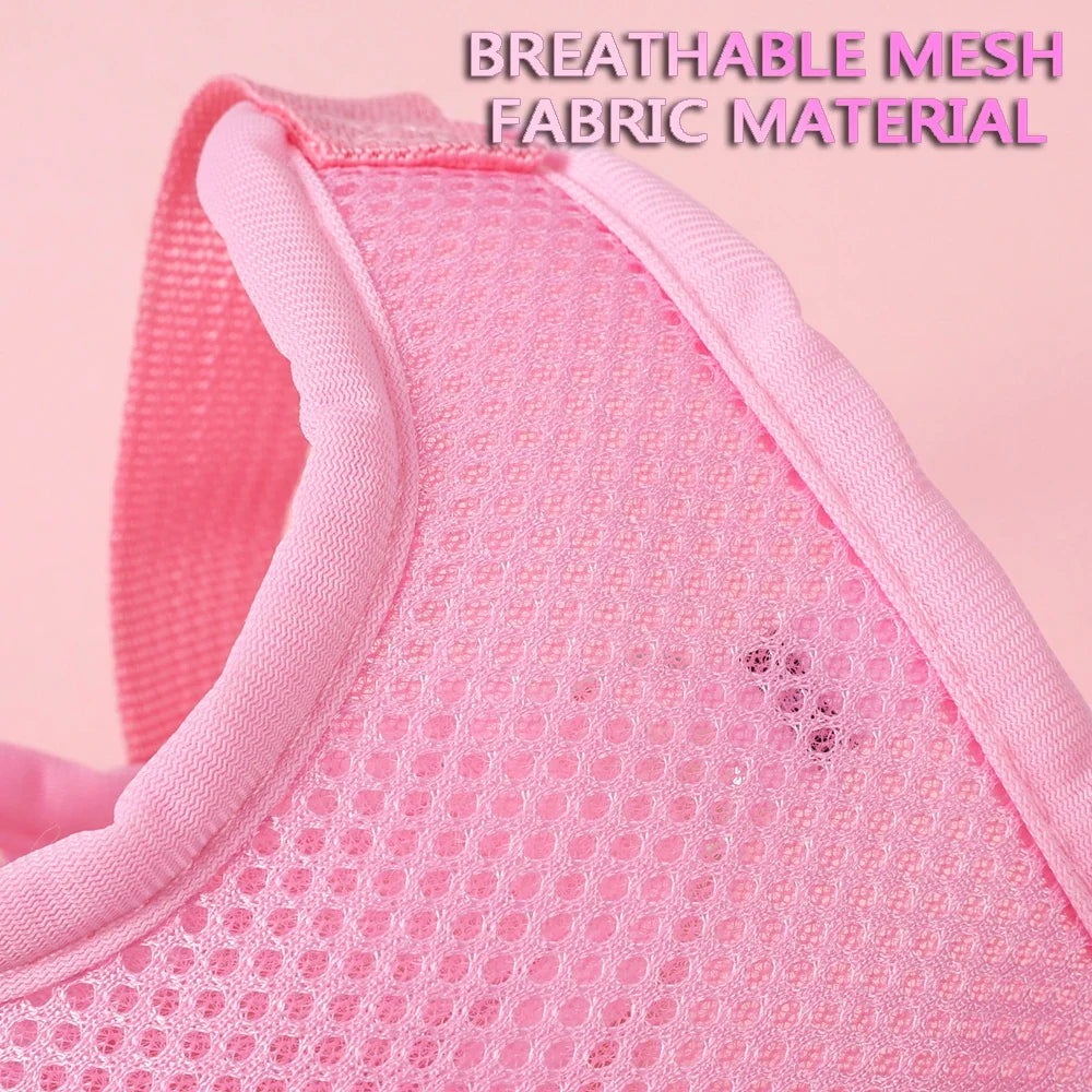 New Breathable Cute Cat Harness Set - MyPetDollar.com