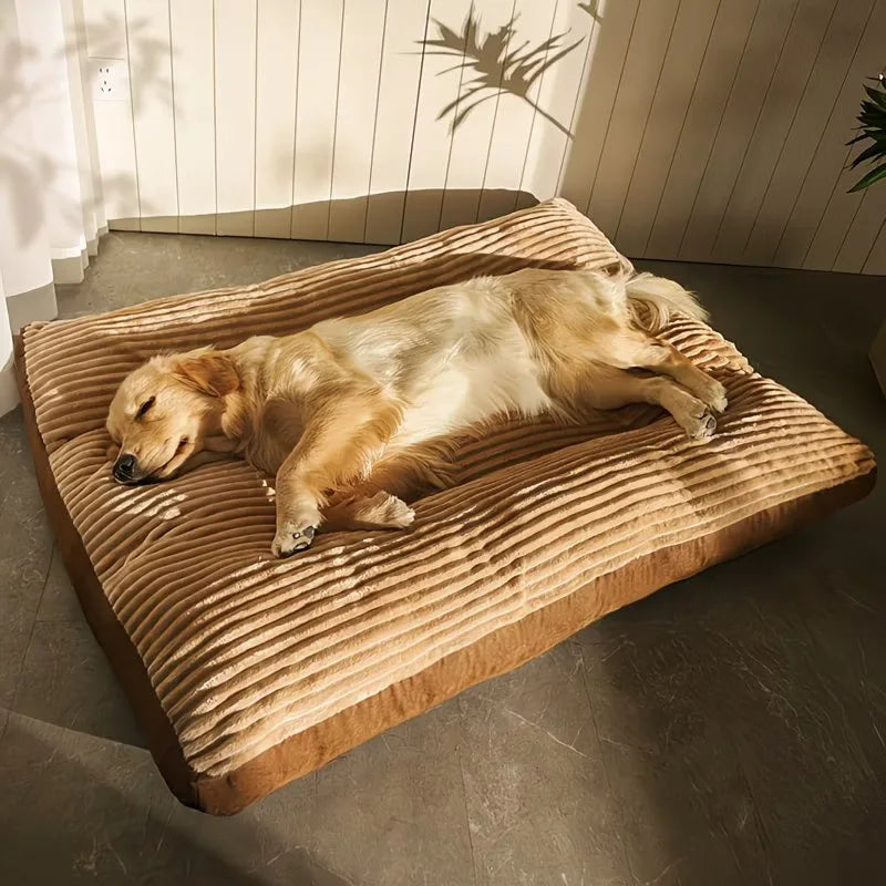 Detachable Washable Dog Bed Mat Thick Warm - MyPetDollar.com