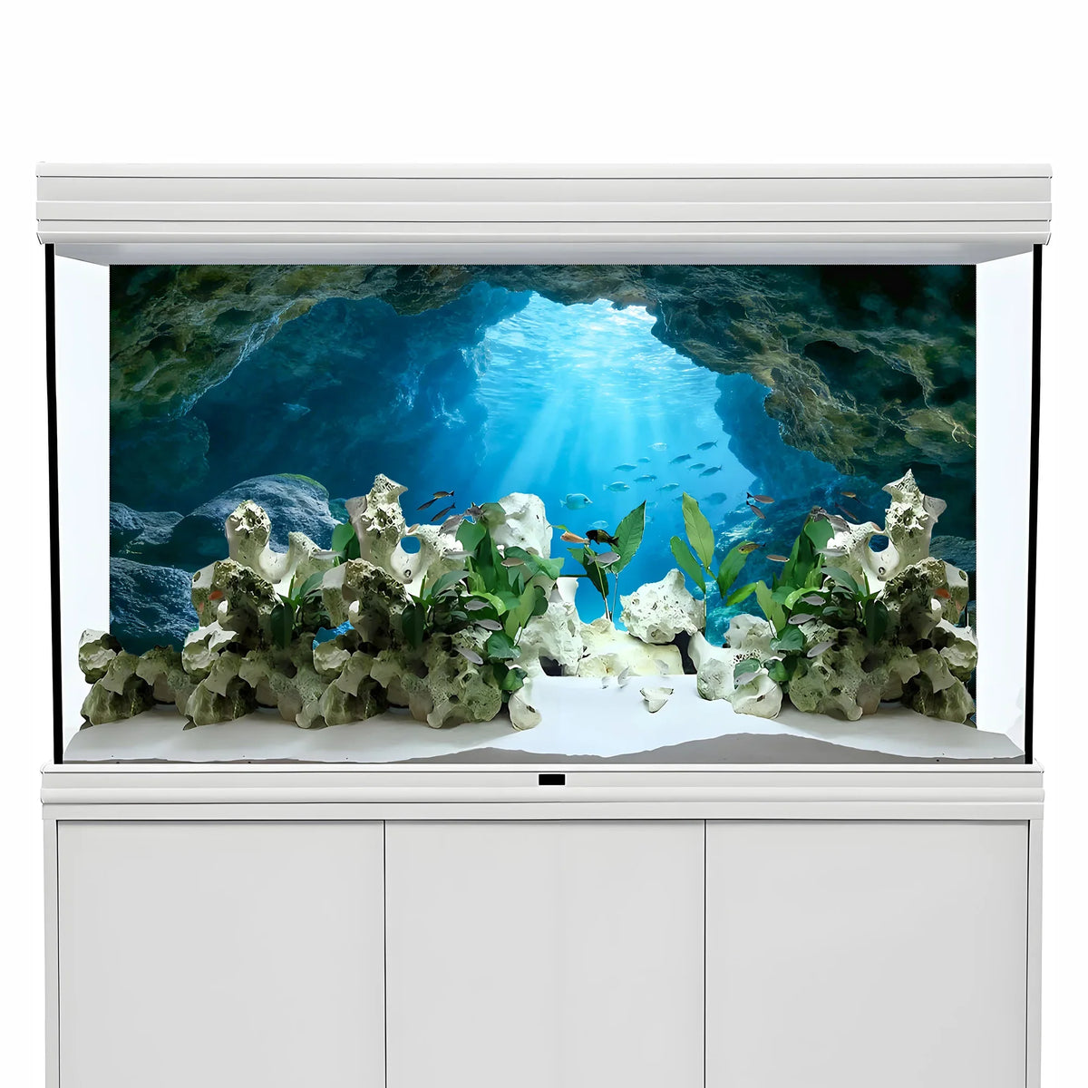 Deep Sea Blue Hole, Fish Tank Background - MyPetDollar.com