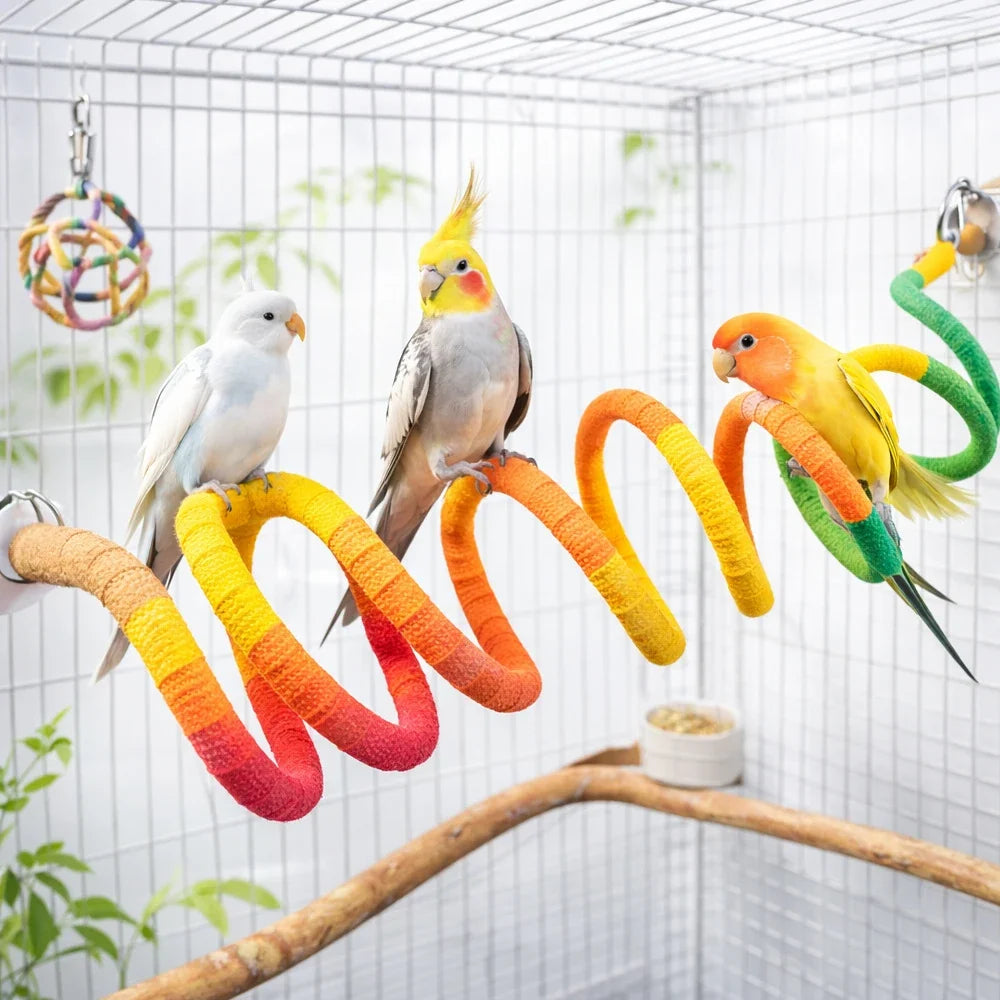 1PC Bird Spiral Rope Perch Parrot Bungee Toy - MyPetDollar.com