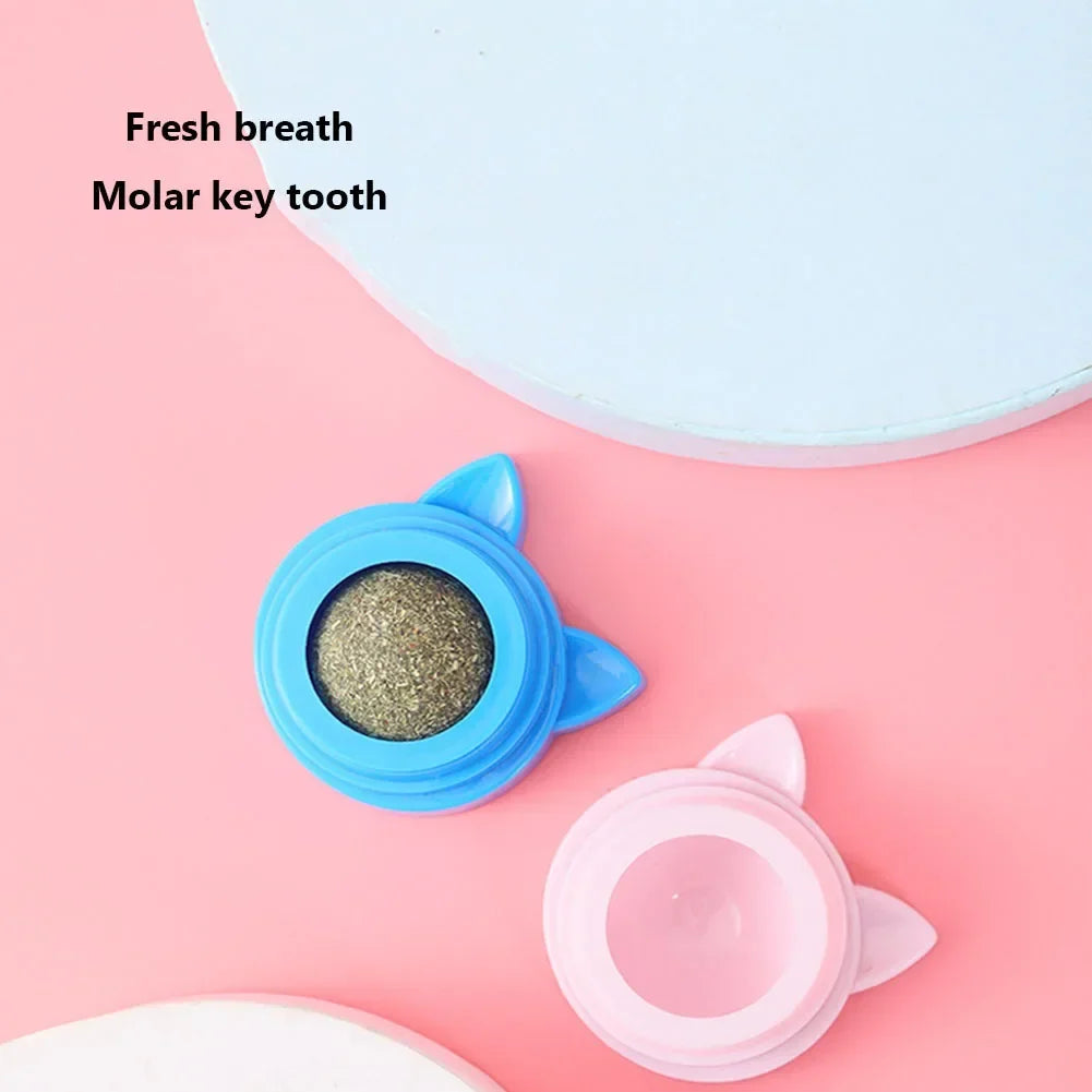 1-3pcs Pet Catnip Toys Wall Ball Licking - MyPetDollar.com