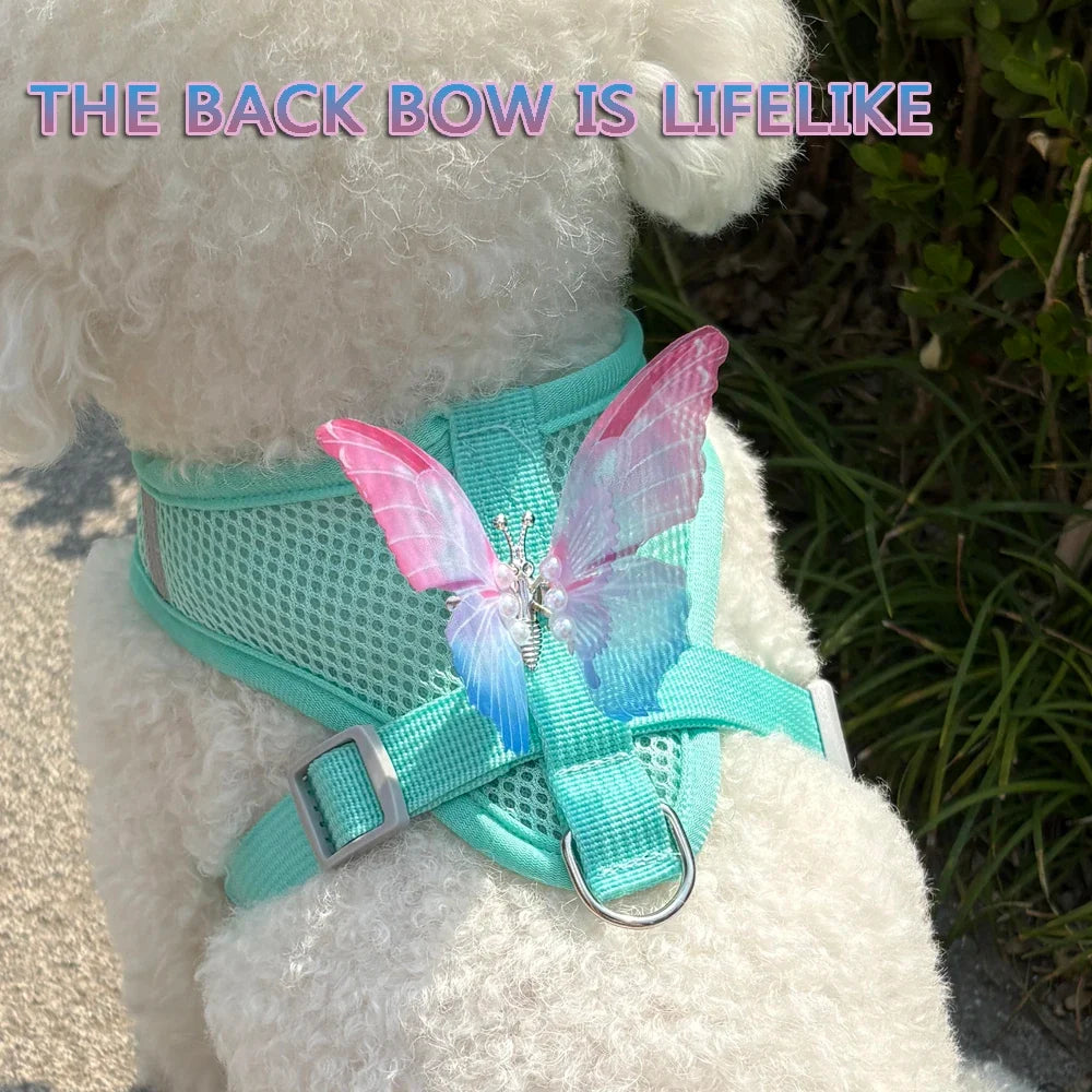 New Breathable Cute Cat Harness Set - MyPetDollar.com