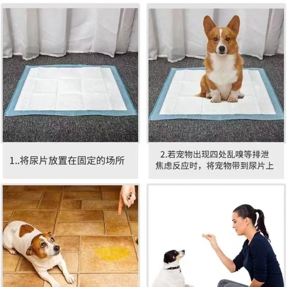 100/50/40/20PCS Absorbent Dogs Diapers - MyPetDollar.com