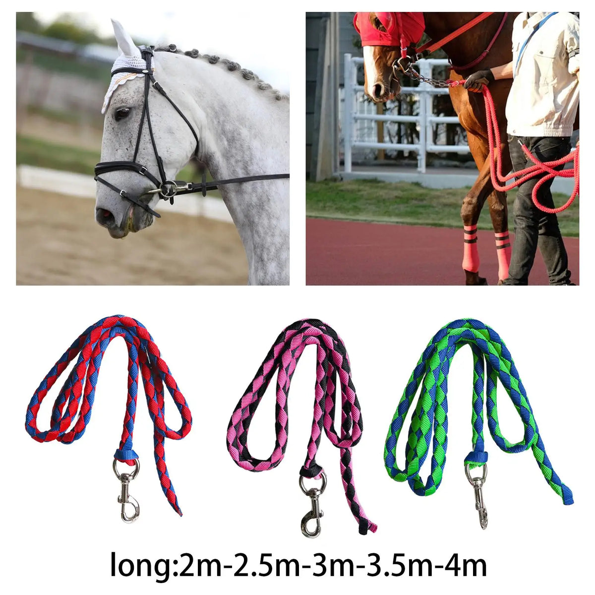 Livestock Training Lead Rope Heavy Duty PP - MyPetDollar.com